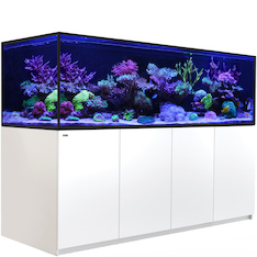Red Sea Reefer-S 1000 G2+ weiss
