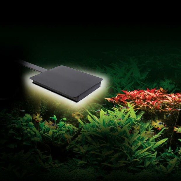 Fluval Nano Plant LED